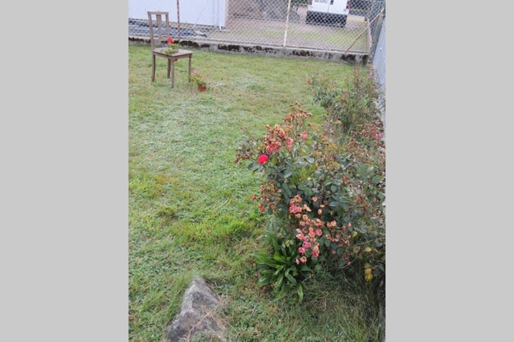 Maison Independ. 6 Personnes A 10 Mn De Gerardmer Granges-sur-Vologne 외부 사진