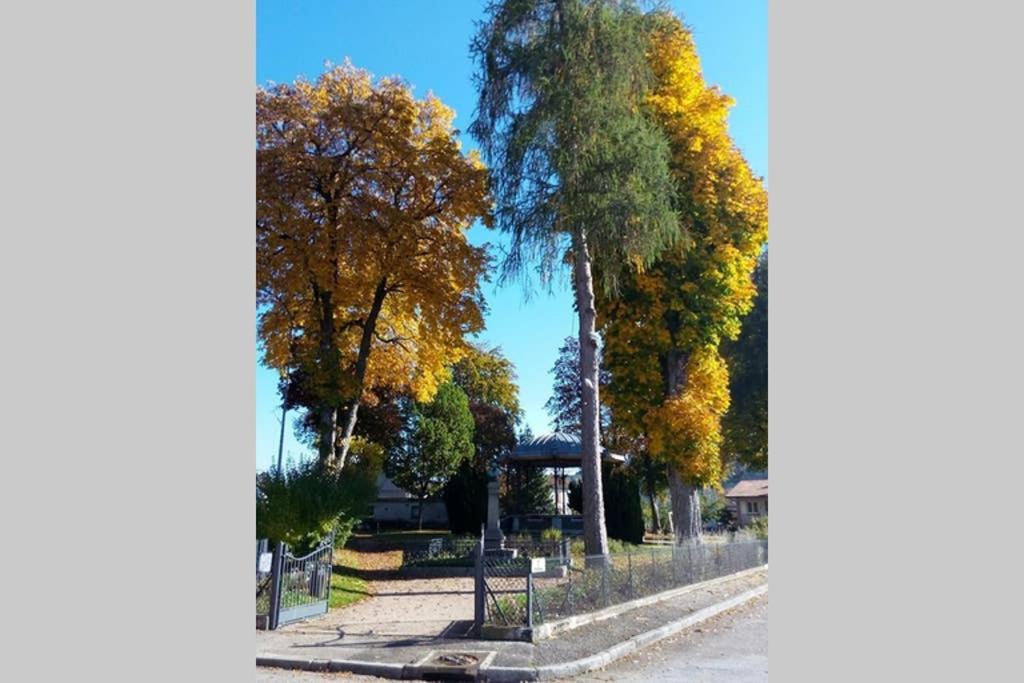 Maison Independ. 6 Personnes A 10 Mn De Gerardmer Granges-sur-Vologne 외부 사진